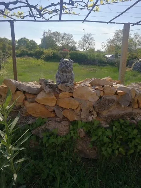 Kuca Za Odmor Coco Villa Labin