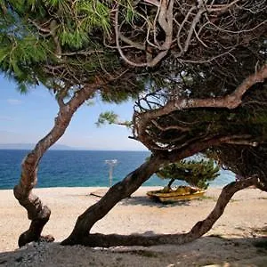 Kuca Za Odmor Coco Villa Labin  Croatia